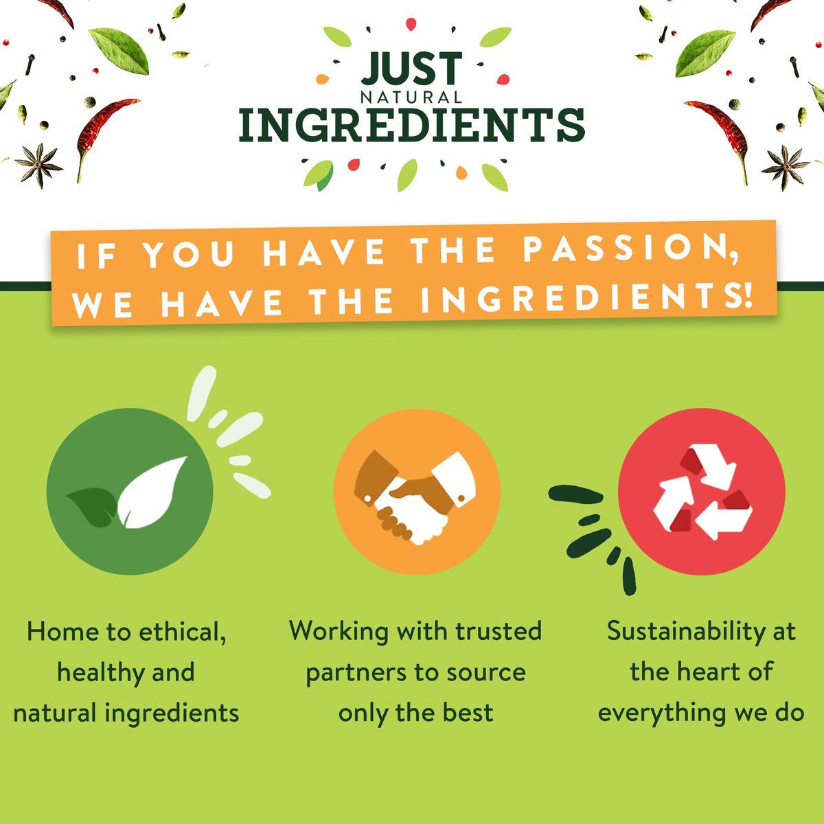 JustIngredients Ground Dry Ginger Powder - 500g Organic Spice for Curries, Baking & Wellness 4