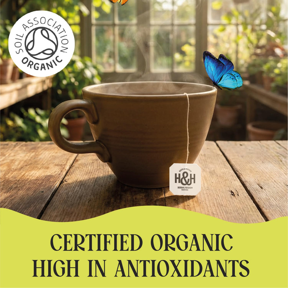 Heath & Heather Organic Fennel Tea - Digestive Infusion, 20 Count 5
