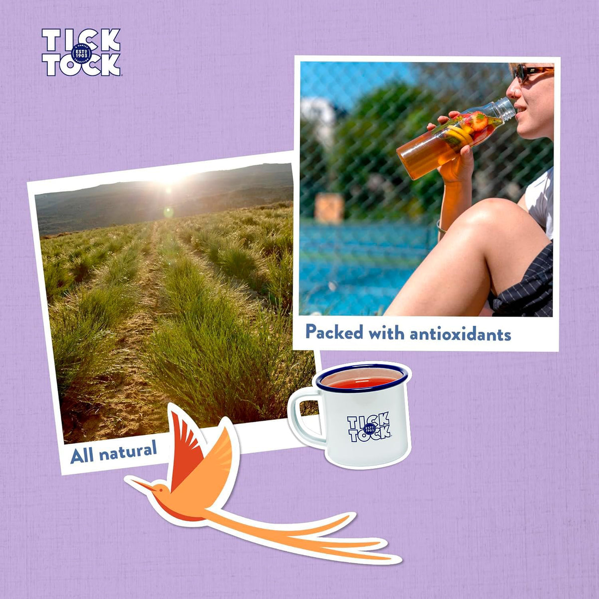 Tick Tock Rooibos Tea Selection Box - 160 Teabags | 4 Flavours | Caffeine Free 4