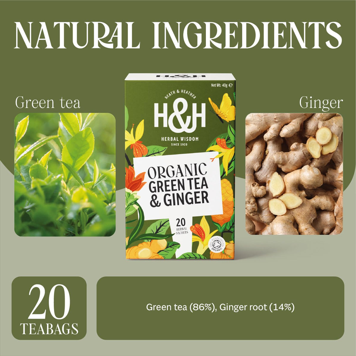 Heath & Heather Organic Green Tea with Ginger - Immunity Support | 20 Count Teabags | Gluten Free