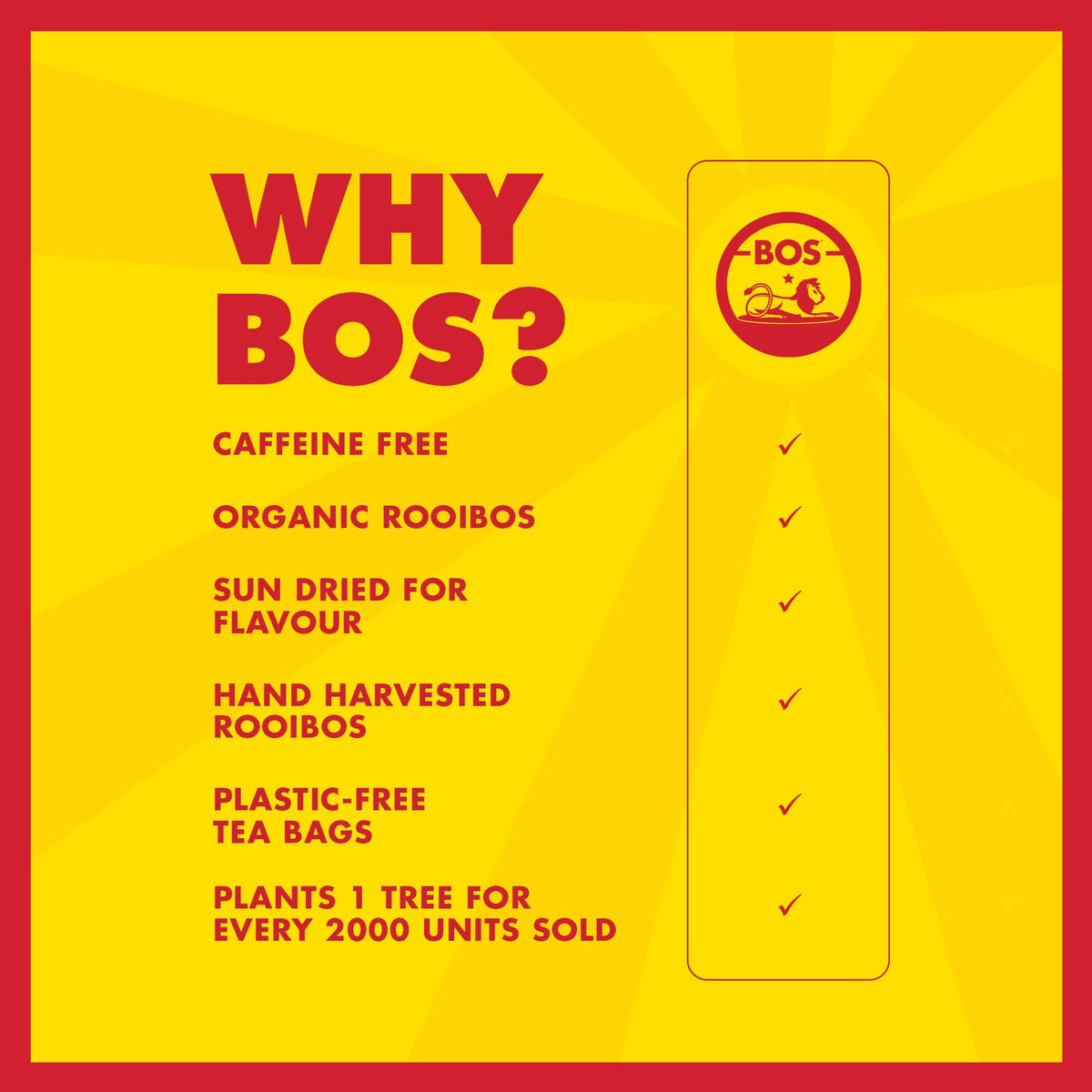 BOS Organic Orange & Ginger Rooibos Tea Bags - 50g Carton, 20 Teabags 8