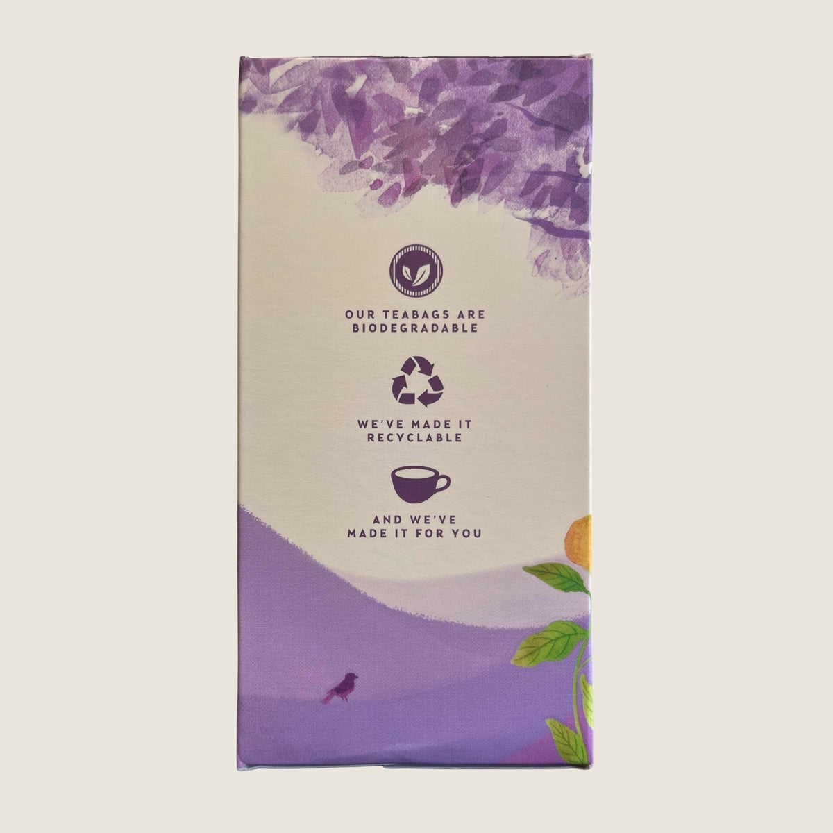 Thompson's Earl Grey Tea - Smooth Black Tea with Bergamot Infusion | 480 Bags 3