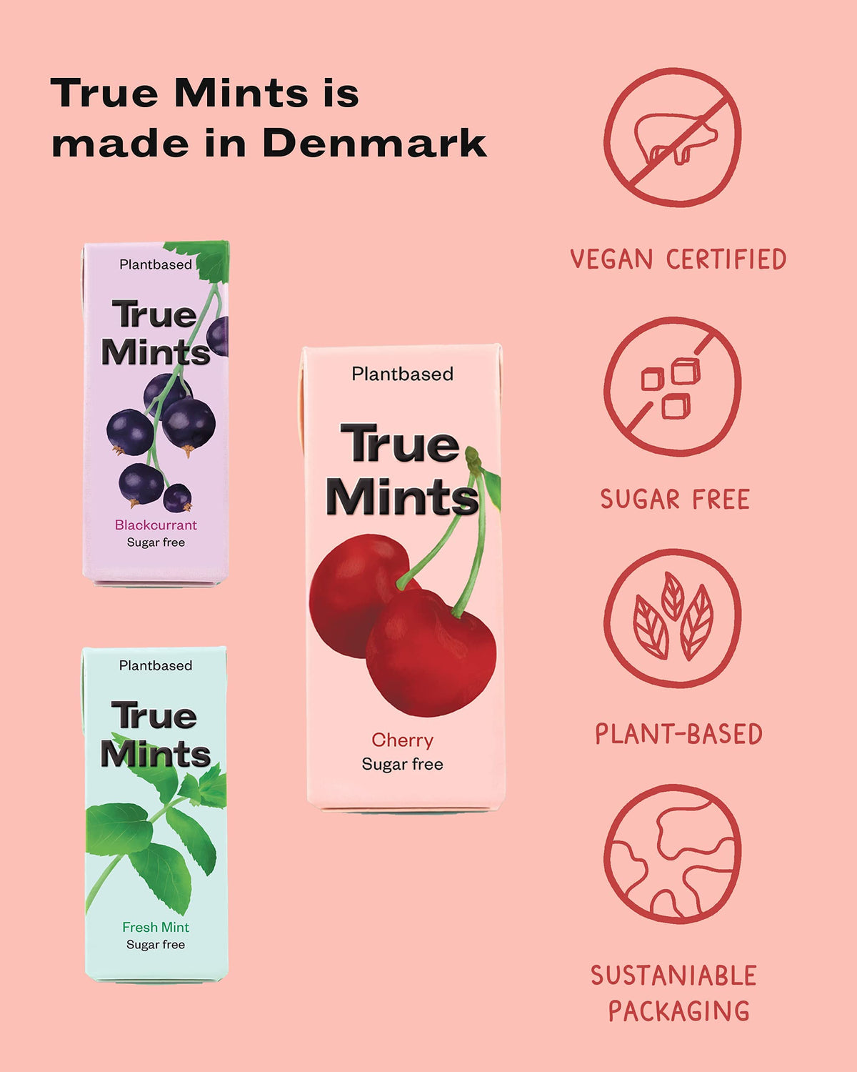 True Gum Cherry Flavour Mints - Sugar Free, Xylitol Sweetened, Vegan - 12 Pack 6