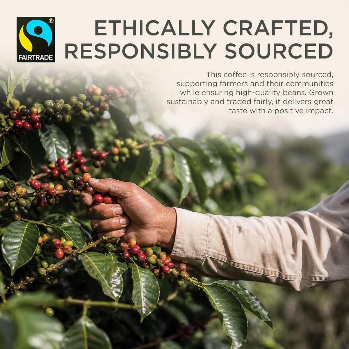Brodies Colombian Fairtrade Ground Coffee - 100% Arabica, Medium Intensity, Chocolate Notes | 227g Pack of 6 5