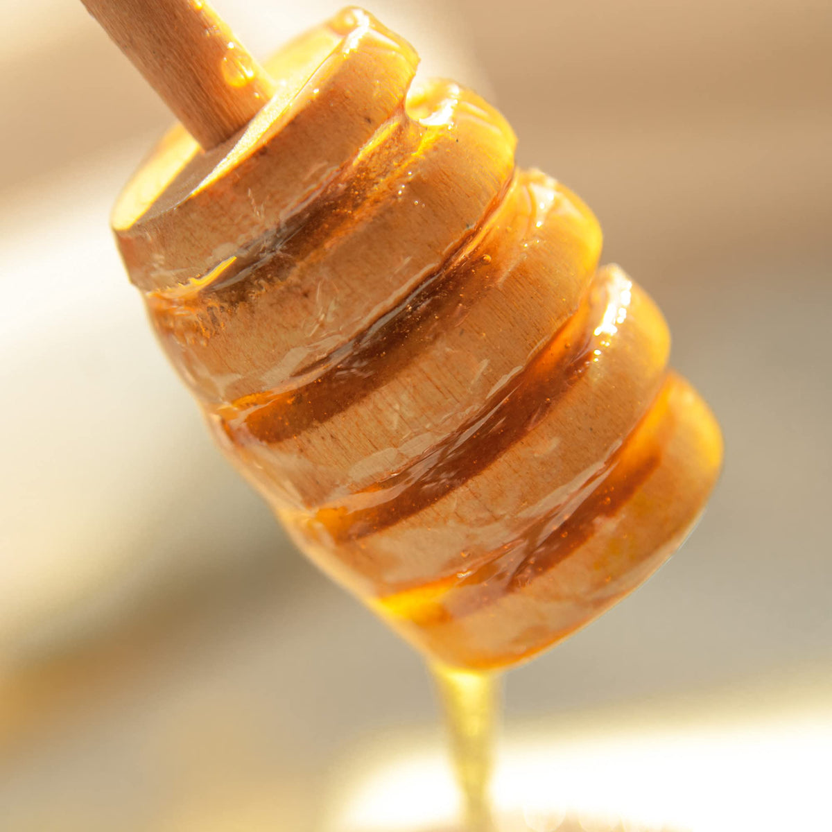 The Greek Kitchen Pine Tree Honey - Unheated & Unpasteurised | 250g | Great Taste Awards Winner 5