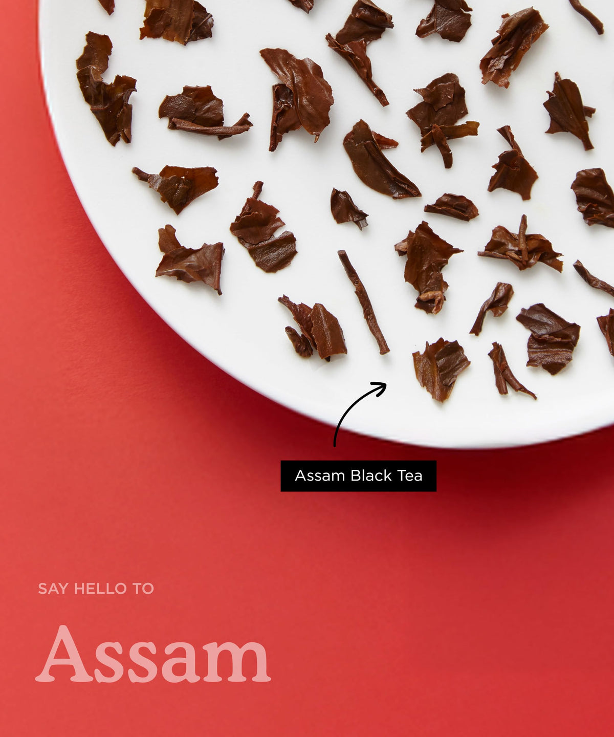 Brew Tea Co Assam Black Tea - Bold & Rich Flavour | 15 Tea Bags 3