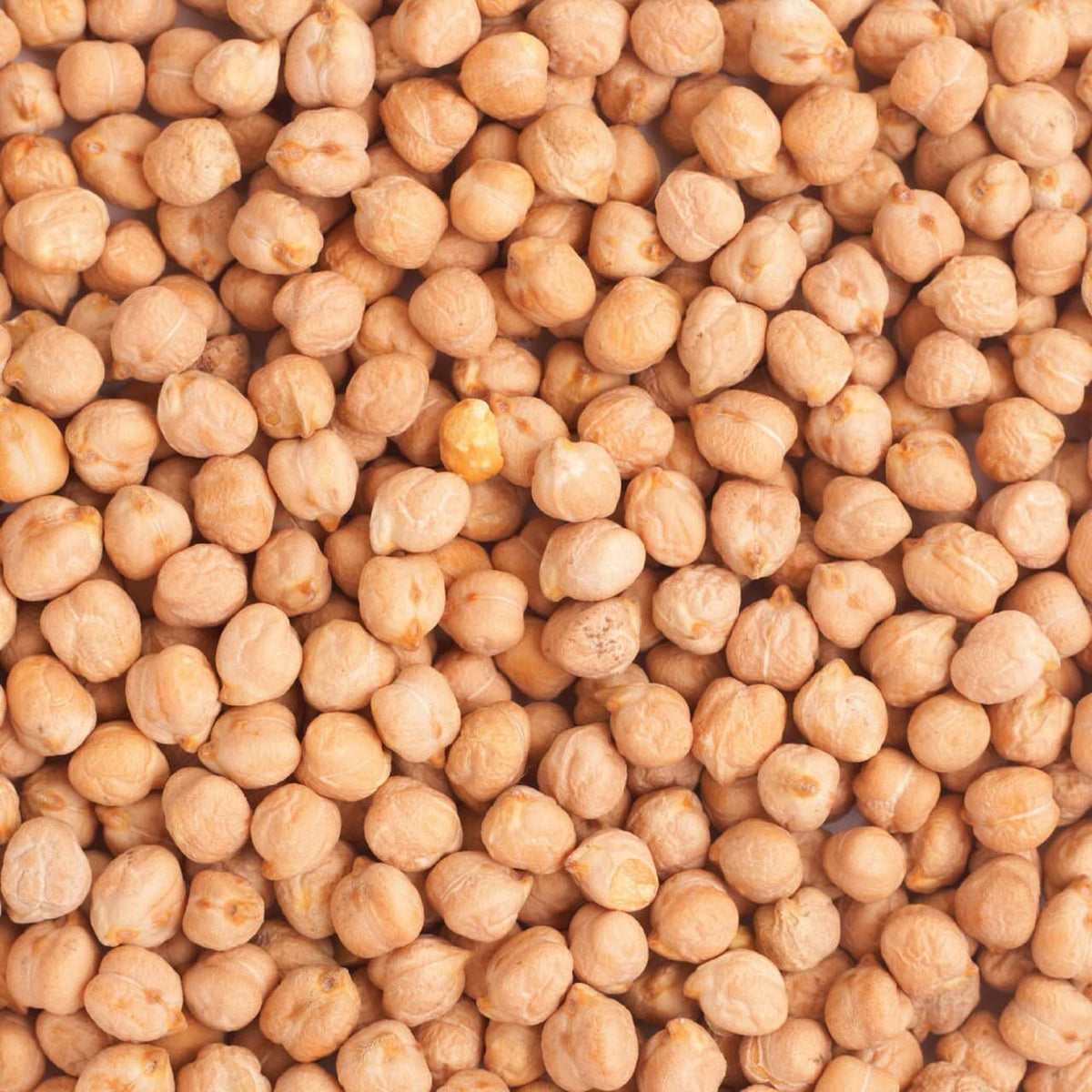 Wholefood Earth Organic Chickpeas - 500g | High Fibre | Vegan 4