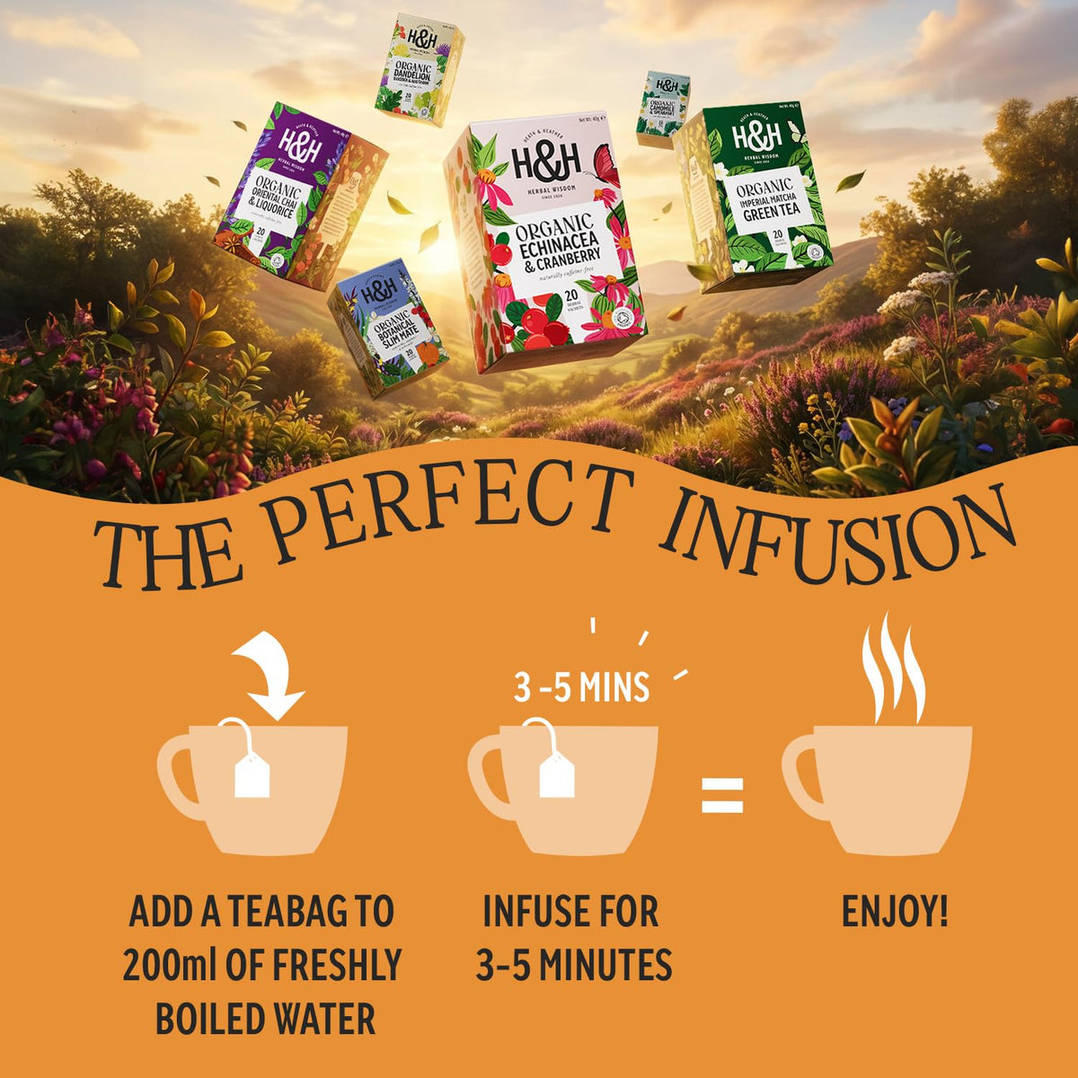Heath & Heather Organic Rosehip & Hibiscus Herbal Tea - Immune Support | 120 Bags | Caffeine-Free 4
