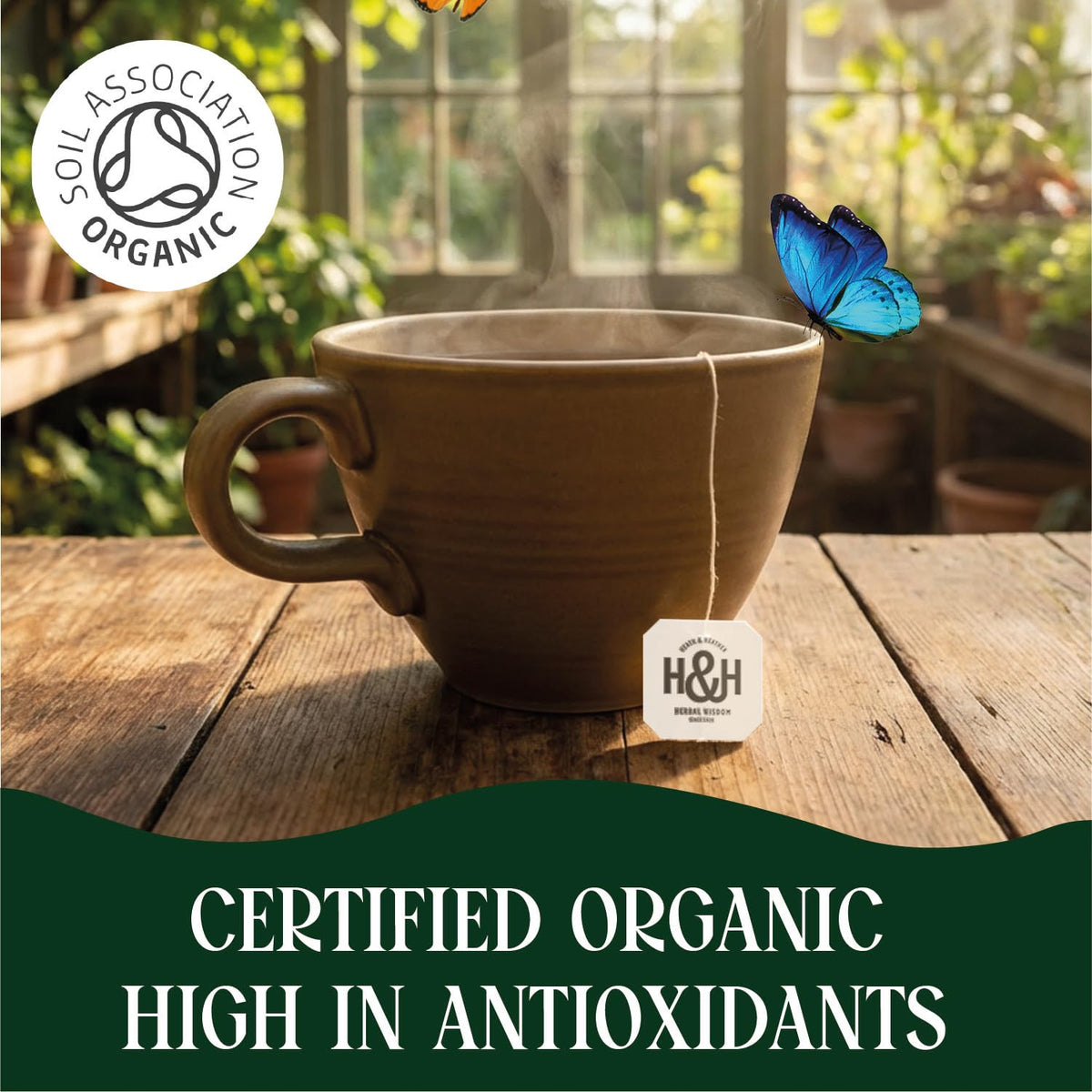 Heath & Heather Organic Imperial Matcha Green Tea - 20 Teabags | Antioxidant Support, Energy Boost 5