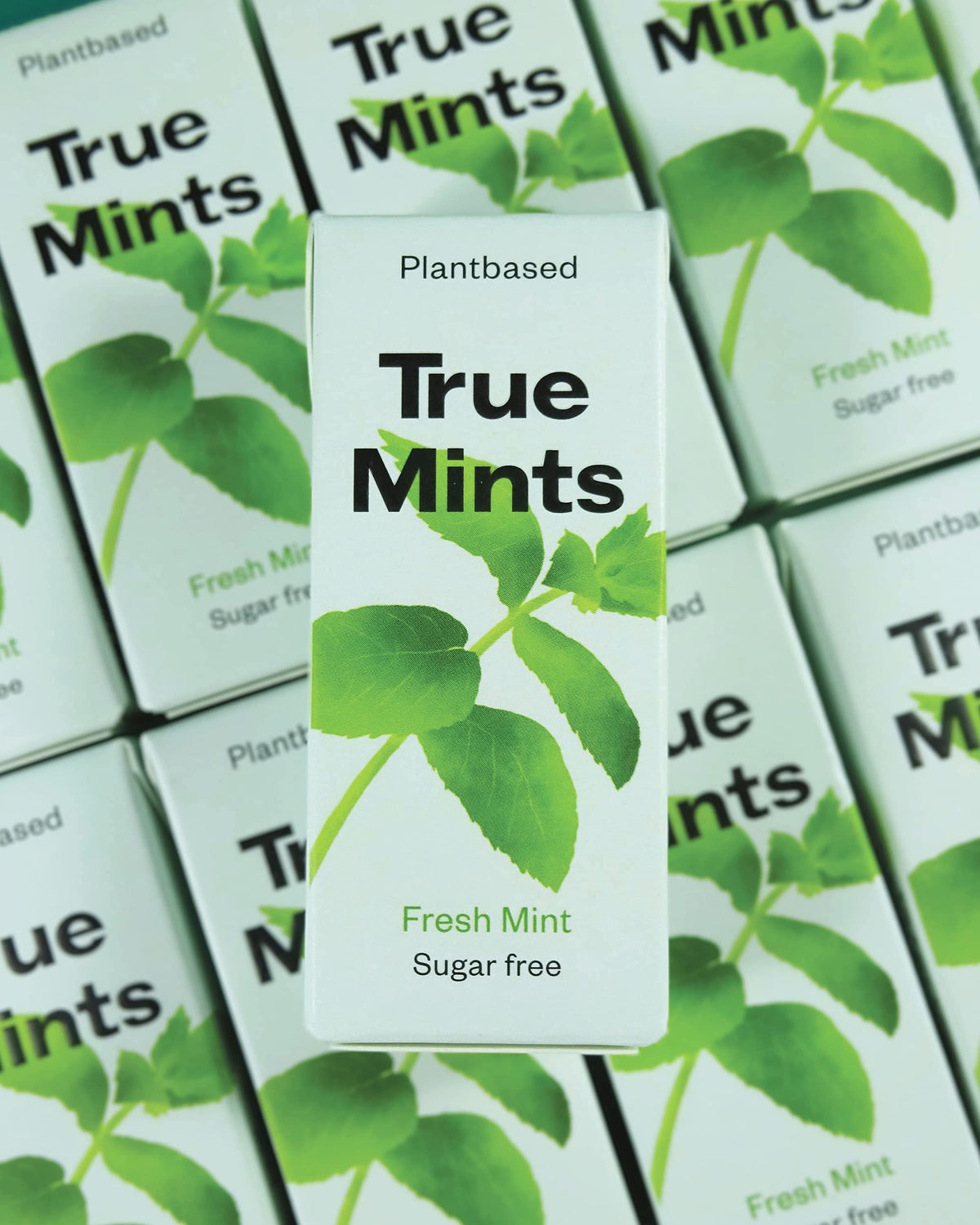 True Gum Sugar Free Mints - Xylitol Mint Flavour Pastilles | 12-Pack 6