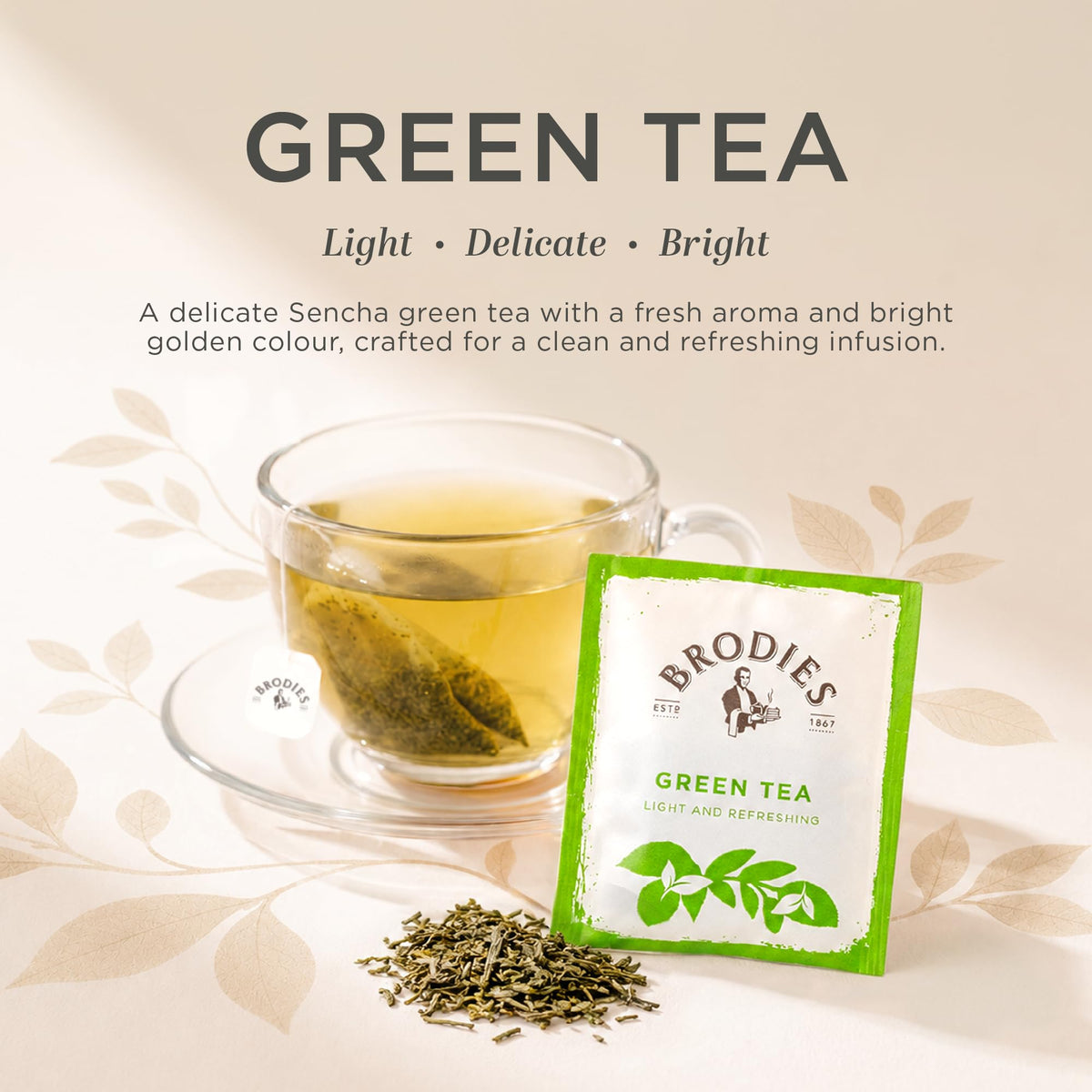 Brodies Green Tea - 250 Tagged & Enveloped Teabags | Light & Refreshing Sencha