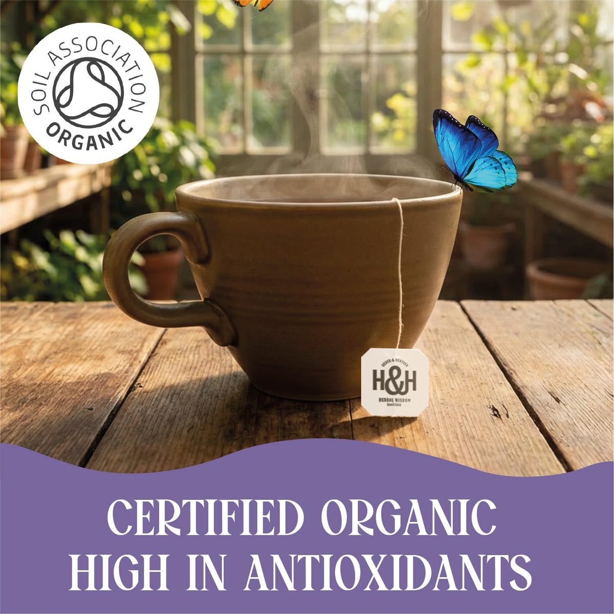Heath & Heather Organic After Dinner Seed Supreme Herbal Tea - Supports Digestion | 120 Teabags | Caffeine-Free 5