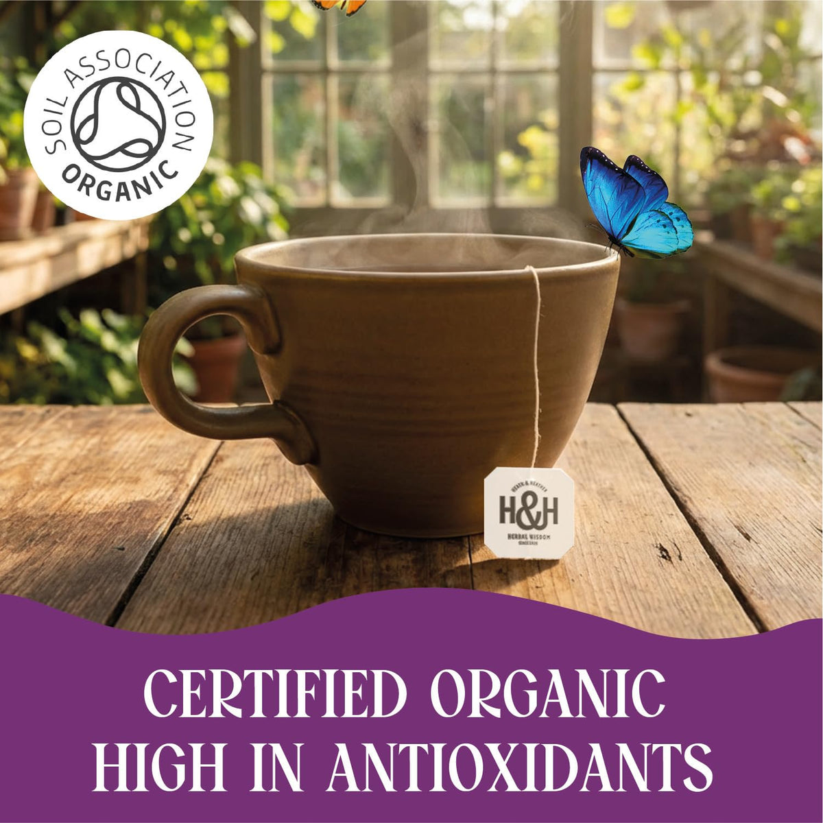 Heath & Heather Organic Oriental Chai & Liquorice Tea - 20 Biodegradable Tea Bags 5