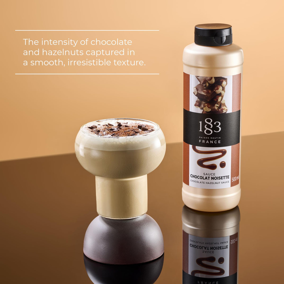 1883 MAISON ROUTIN Chocolate Hazelnut Sauce - Gourmet Dessert & Drink Topping | 500ml Squeezy Bottle (Pack of 2)