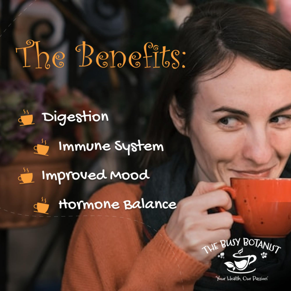 The Busy Botanist Tum Ease Herbal Tea - Peppermint, Ginger & Chamomile | Caffeine-Free | 15 Count (Pack of 2) 3