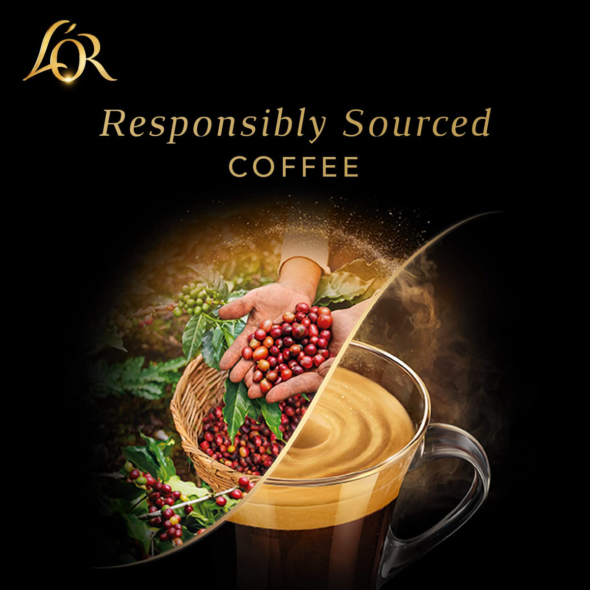 L'OR BARISTA Double Ristretto XXL Aluminium Coffee Capsules - Intensity 11, Medium Roast, 50 Count 6