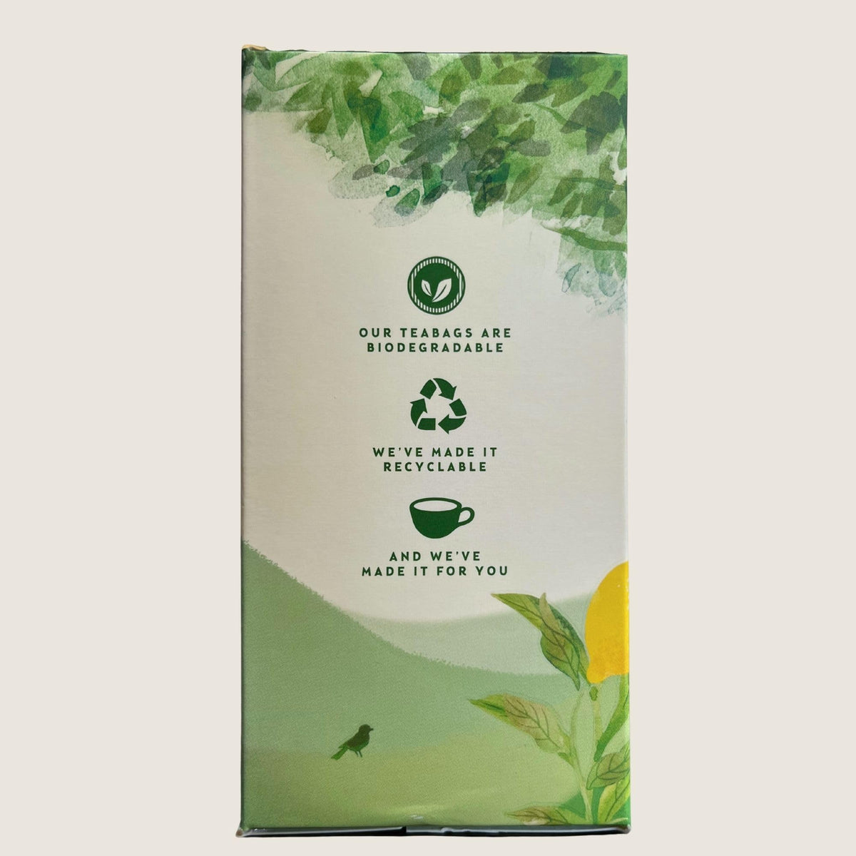 Thompson's Green Tea with Lemon Tea Bags - 480 Bags | Refreshing Citrus Blend 3