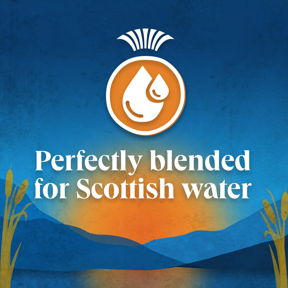 Pukka Herbs Scottish Blend Black Tea Bags - Smooth & Fresh Brew | 6 Count 2