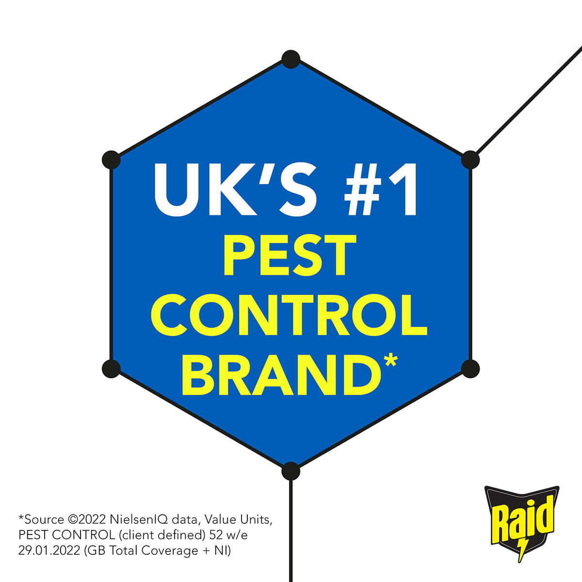 Raid Ant Bait - Kills Ants & Eliminates Colonies | Indoor/Outdoor Use | 10ml 5