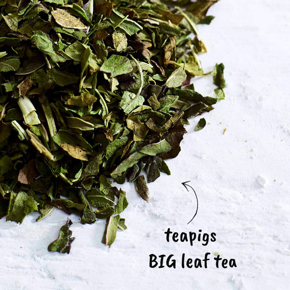 teapigs Peppermint Leaves Herbal Tea - Whole Leaves, Supports Digestion | 200g (Pack of 2)