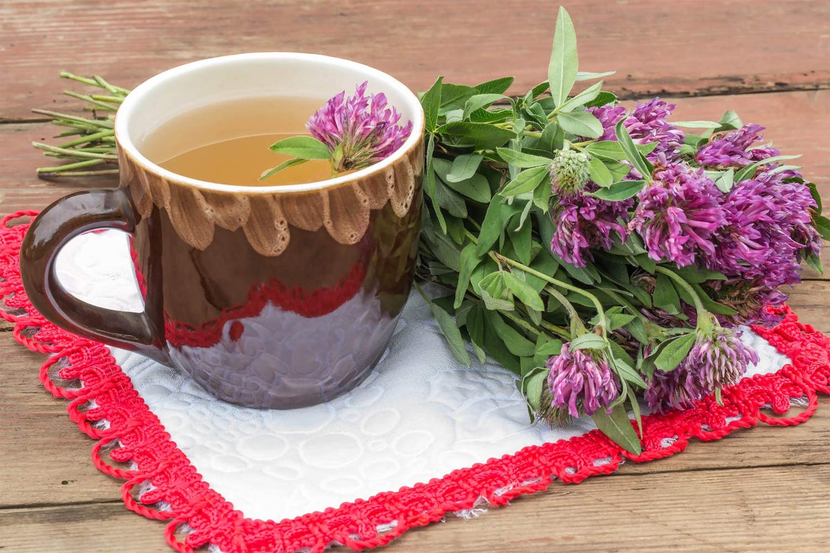 Health Embassy Red Clover Flower Loose Leaves - 100g | Herbal Tea | Immunity Support 4