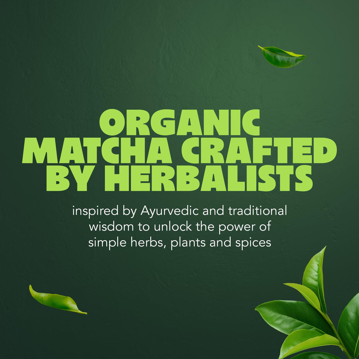 Pukka Herbs Organic Matcha Vanilla Chai Powder - 30g Tin | Warming & Aromatic 7