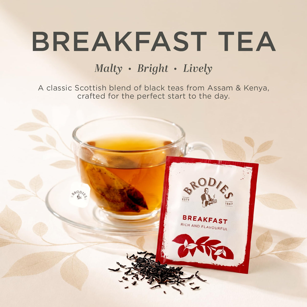 Brodies Breakfast Tea - 250 Tag & Envelope Teabags | Rich Blend | Eco-Friendly Dispenser Box