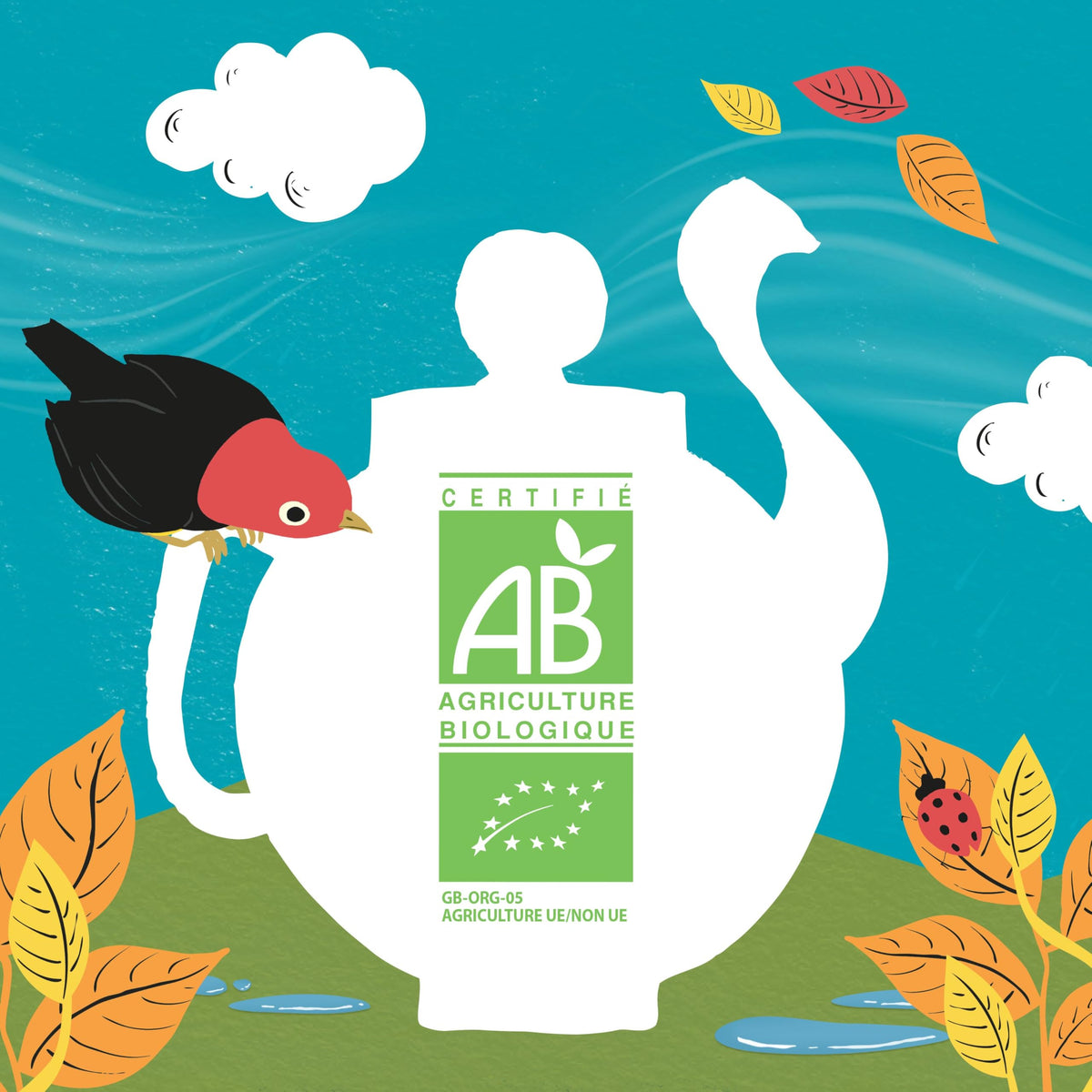 Clipper Organic Pure Green Tea - Fairtrade, 50 Teabags, Compostable 8