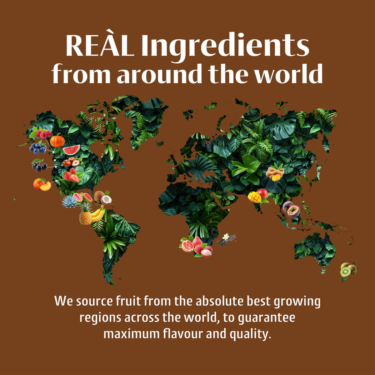 Reàl Infused Exotics Cream of Hazelnut Syrup - Made with Oregon Hazelnuts | 500ml 7