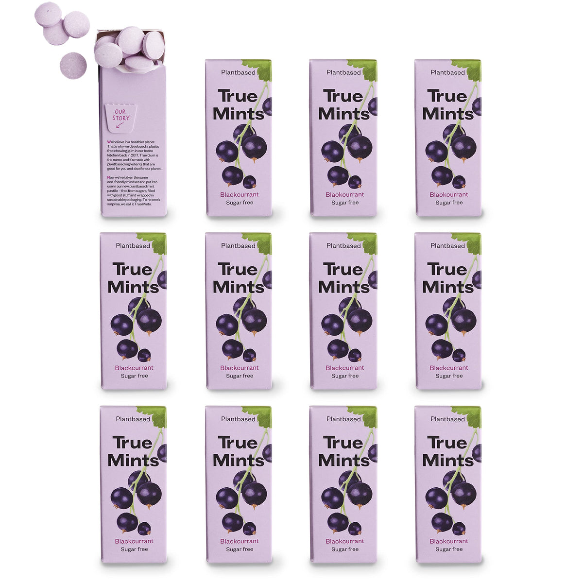 True Gum Blackcurrant Mints - Sugar Free, Xylitol Sweetened | 12-Pack