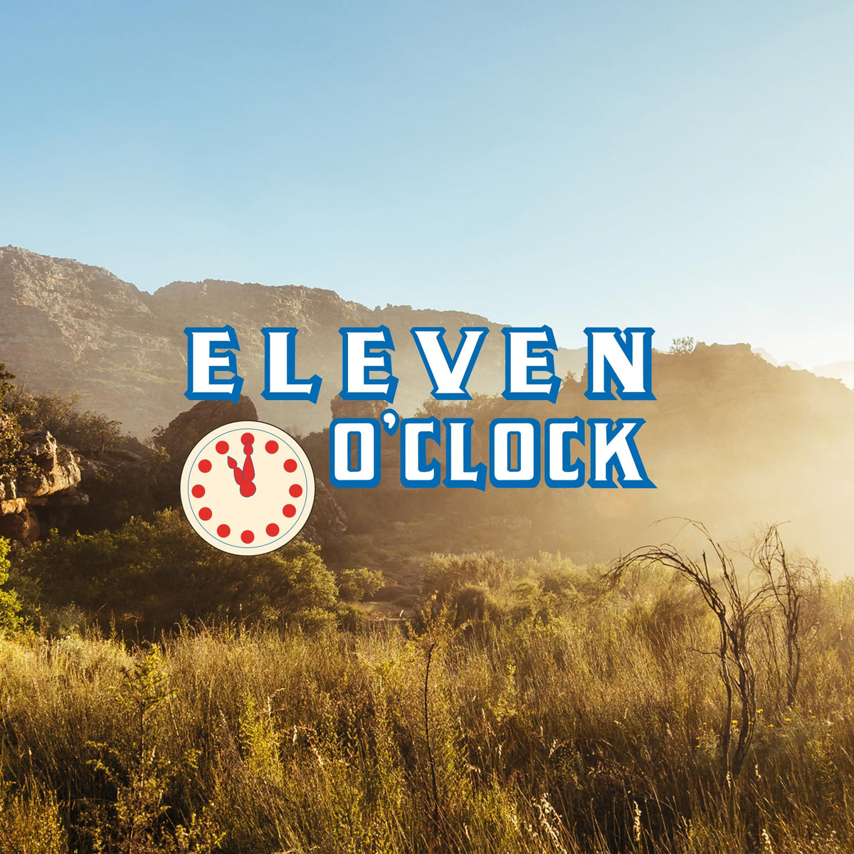 Eleven O'Clock Organic Rooibos Tea - Caffeine Free, Antioxidant Rich | 4 x 80 Teabags (320 Total) 5