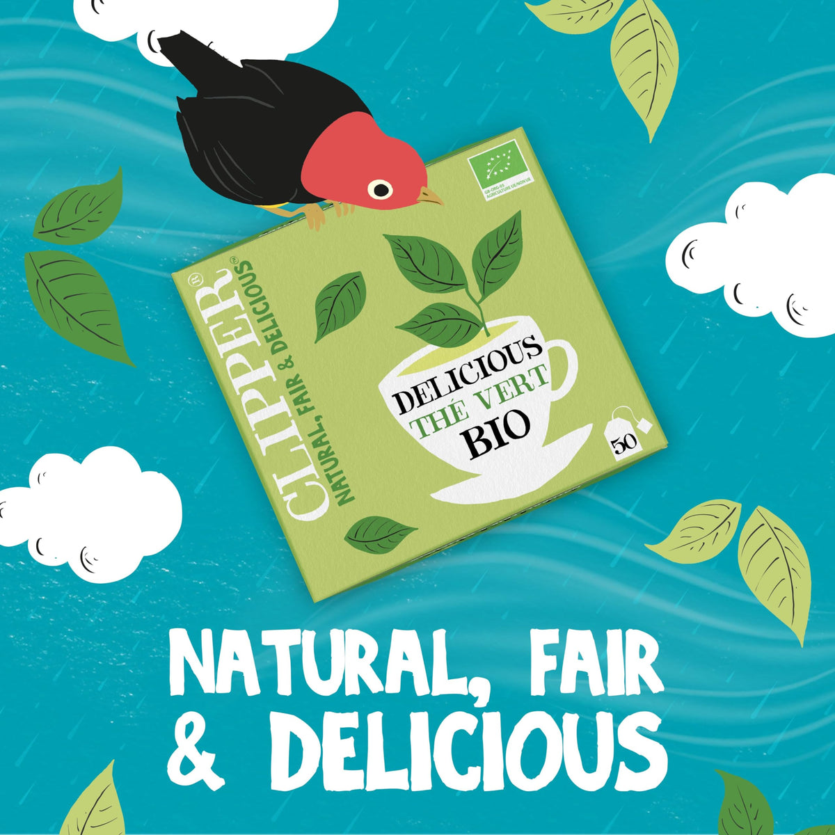 Clipper Organic Pure Green Tea - Fairtrade, 50 Teabags, Compostable 6