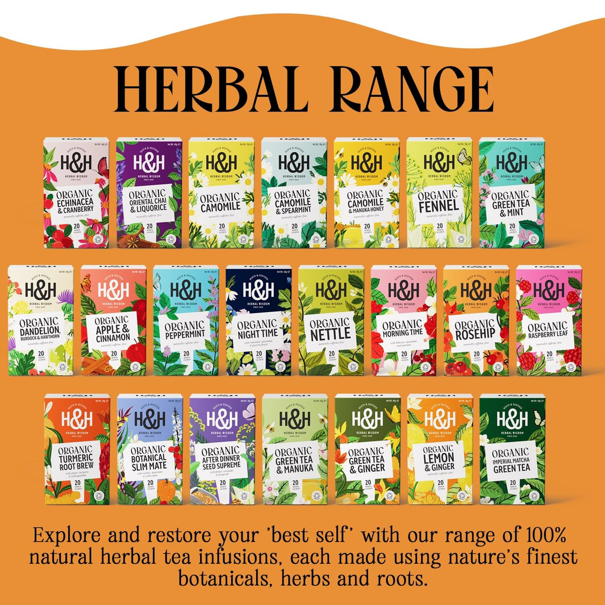 Heath & Heather Organic Rosehip & Hibiscus Herbal Tea - Immune Support | 120 Bags | Caffeine-Free 6
