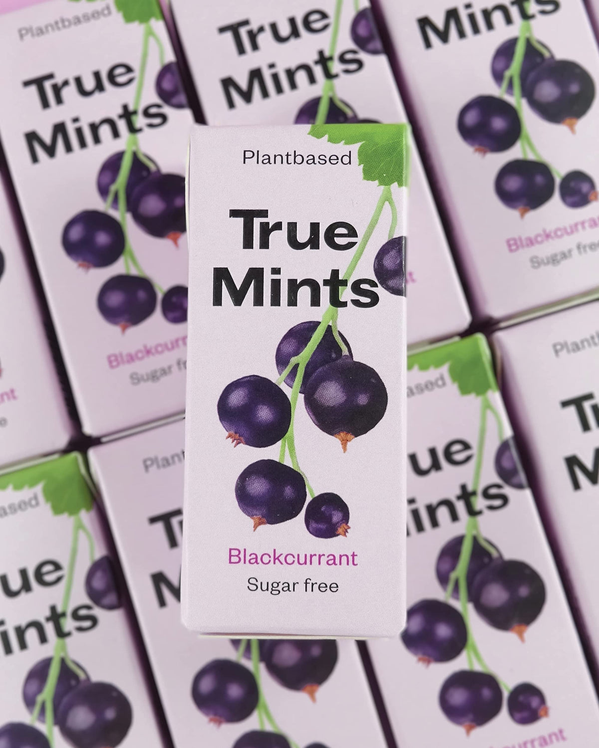 True Gum Blackcurrant Mints - Sugar Free, Xylitol Sweetened | 12-Pack 6