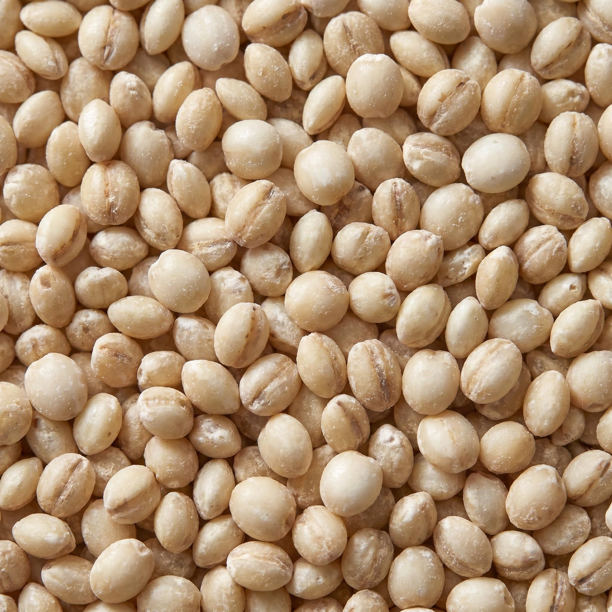 Wholefood Earth Organic Dried Pearl Barley - High Fibre, Vegan, 500g 3