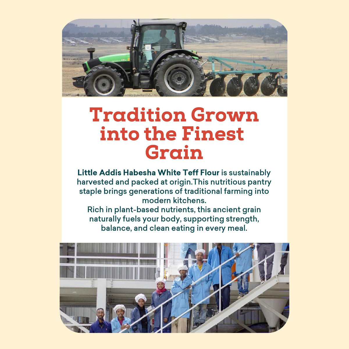 Lovegrass Ethiopia White Teff Flour - 1kg (2 x 500g Packs) | Gluten-Free, Vegan, High Protein 3