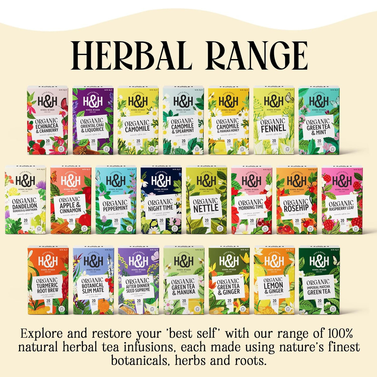 Heath & Heather Organic Camomile Tea - Promotes Relaxation & Supports Digestion | 20 Count 6