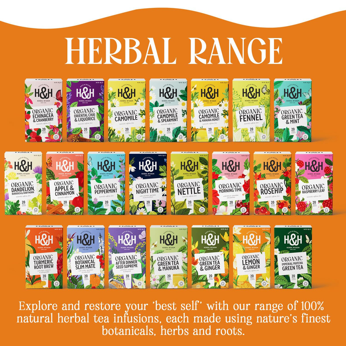 Heath & Heather Organic Lemon & Ginger Herbal Tea - Digestive & Immune Support | 120 Tea Bags | Caffeine-Free 6