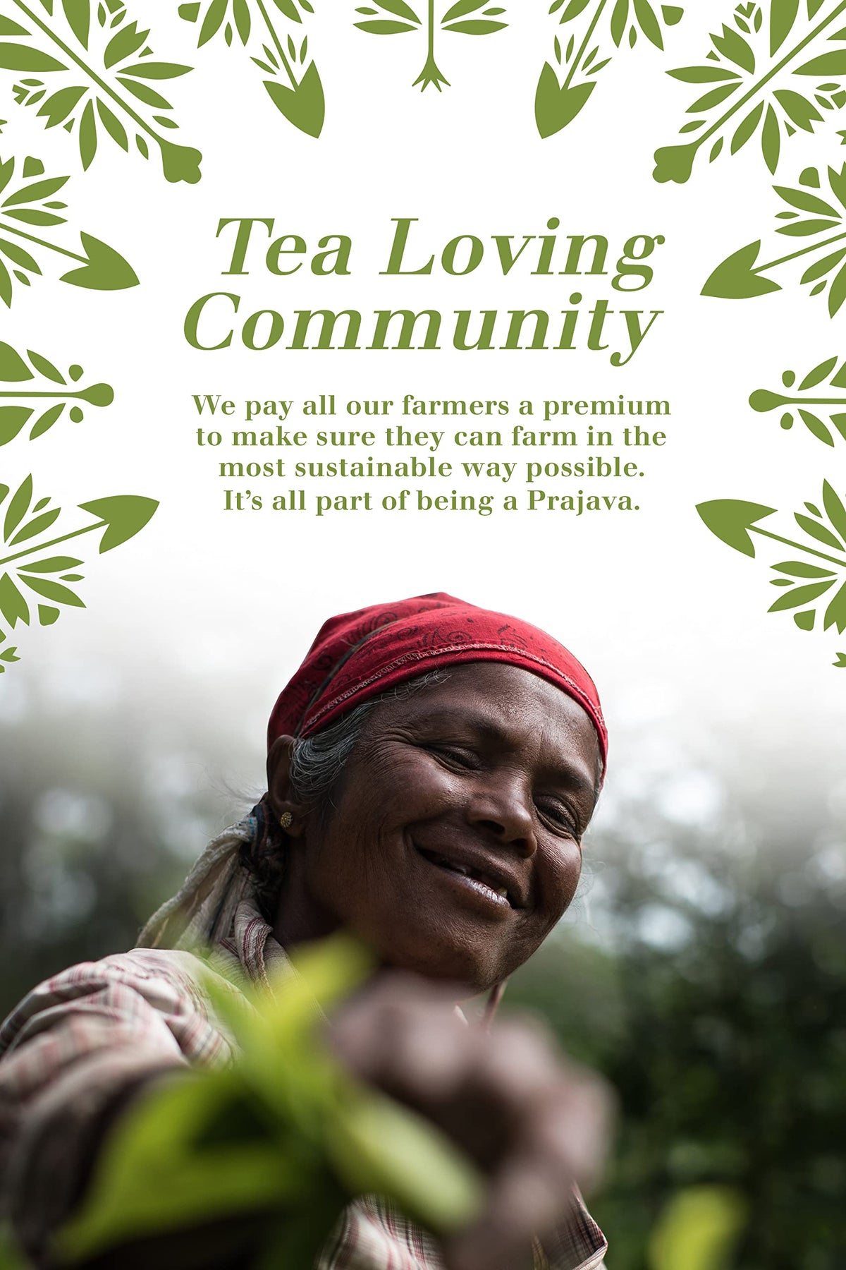 English Tea Shop Luxury Tea Collection - 48 Organic Tea Bags, 6 Flavors 4