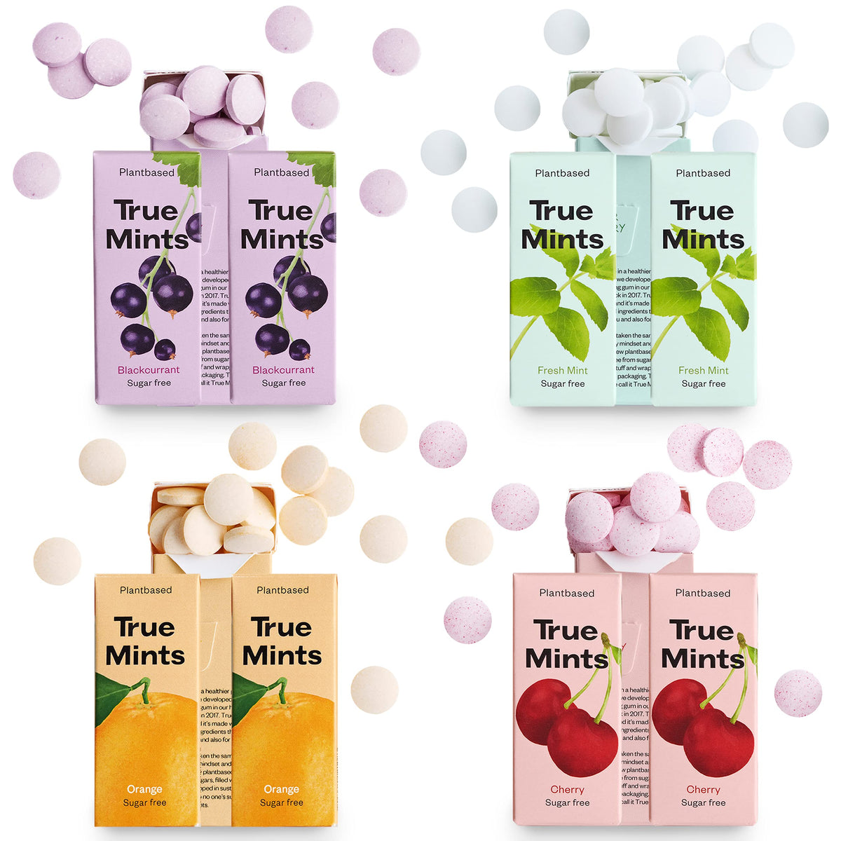 True Gum Mixed Flavours Mints - Sugar Free, Xylitol, Vegan | 12-Pack 1