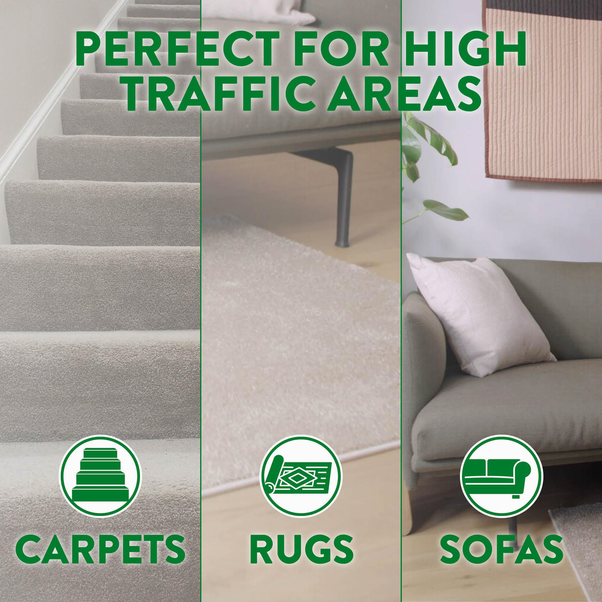 Zoflora Midnight Blooms Carpet Freshener & Care Foam - Eliminates Odours, No Vacuum Needed | 2 x 600ml 4