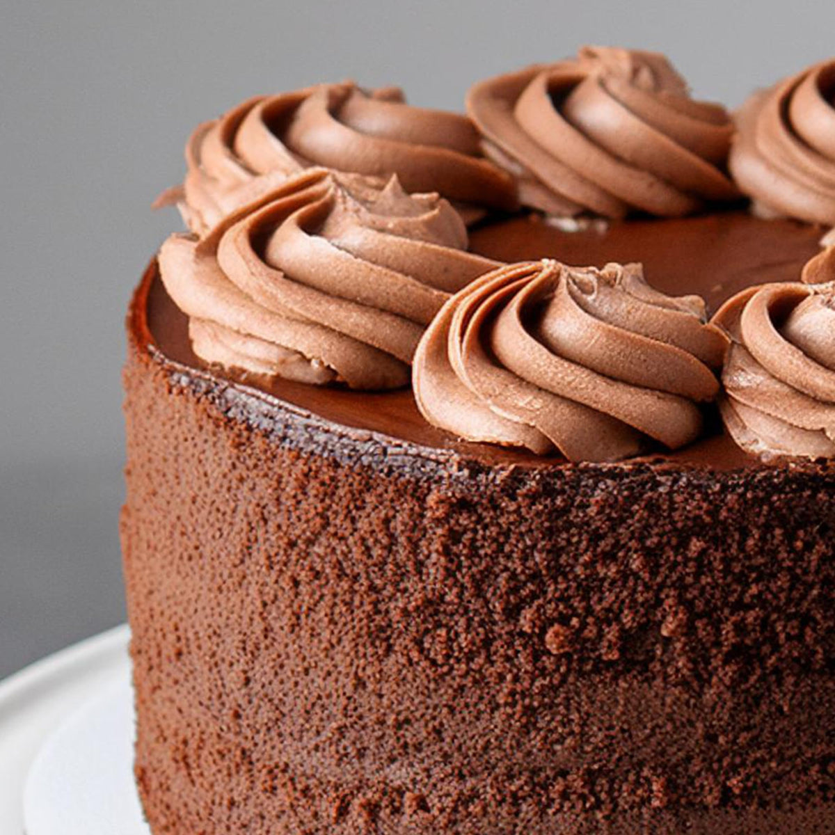 Culpitt Select Chocolate Cake Mix - 1kg | Makes 2 x 8" Cakes | Just Add Water 3