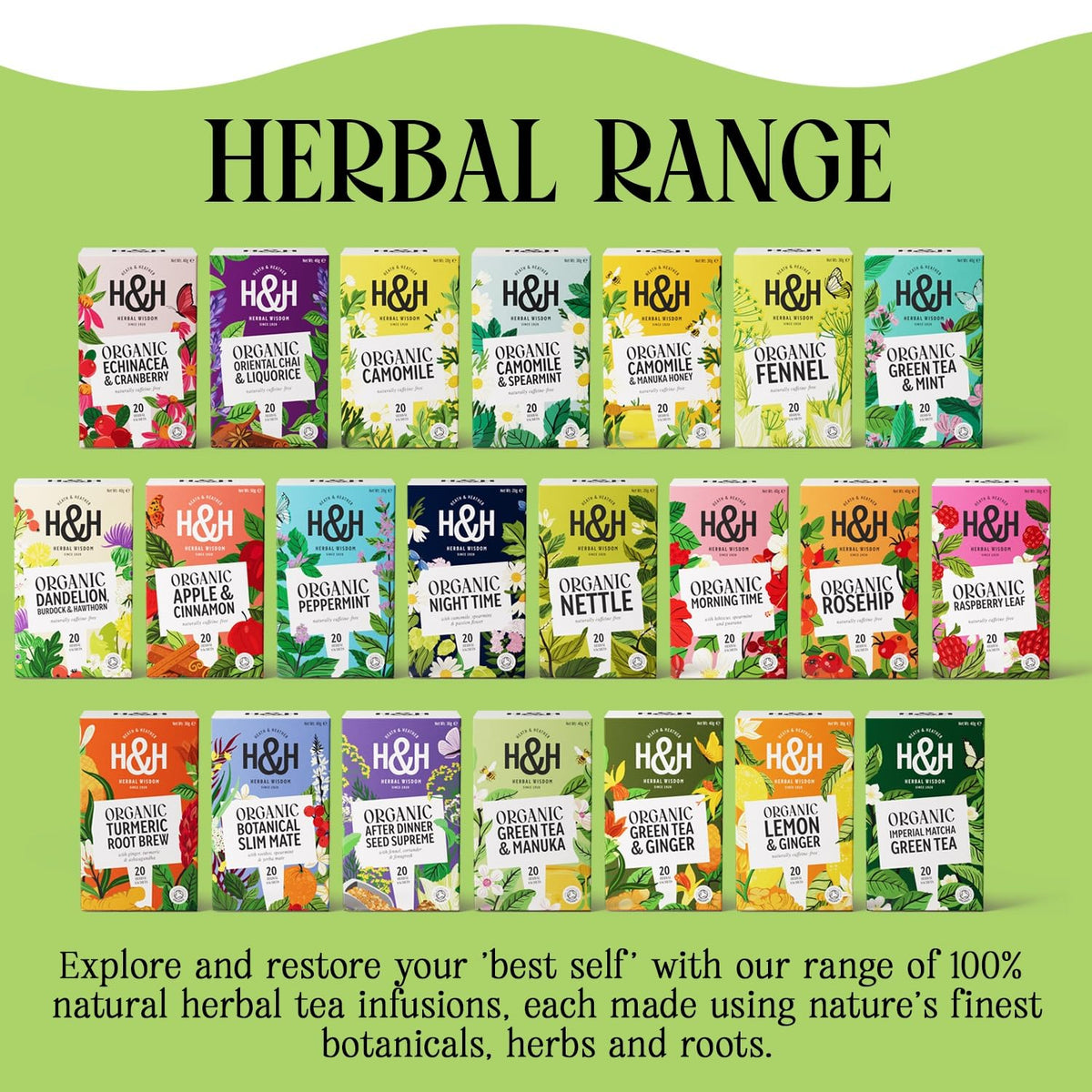 Heath & Heather Organic Green Tea with Manuka Honey - Antioxidant Rich, Immune Support, Supports Digestion & Metabolism | 20 Count Teabags 6
