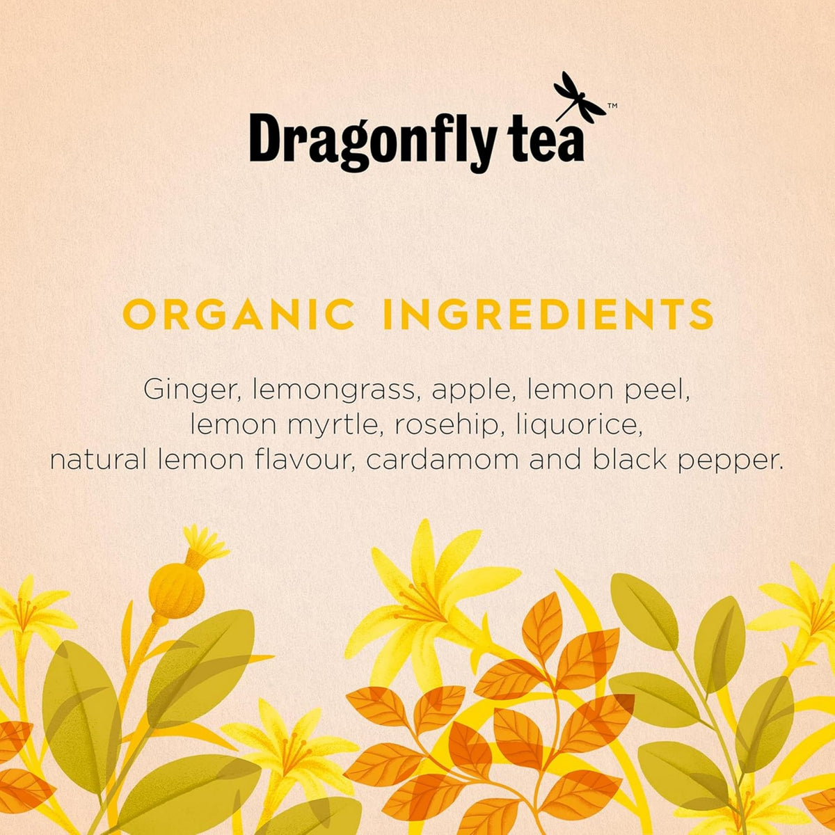 Dragonfly Lively Lemon and Ginger Organic Tea - 80 Tea Bags 3