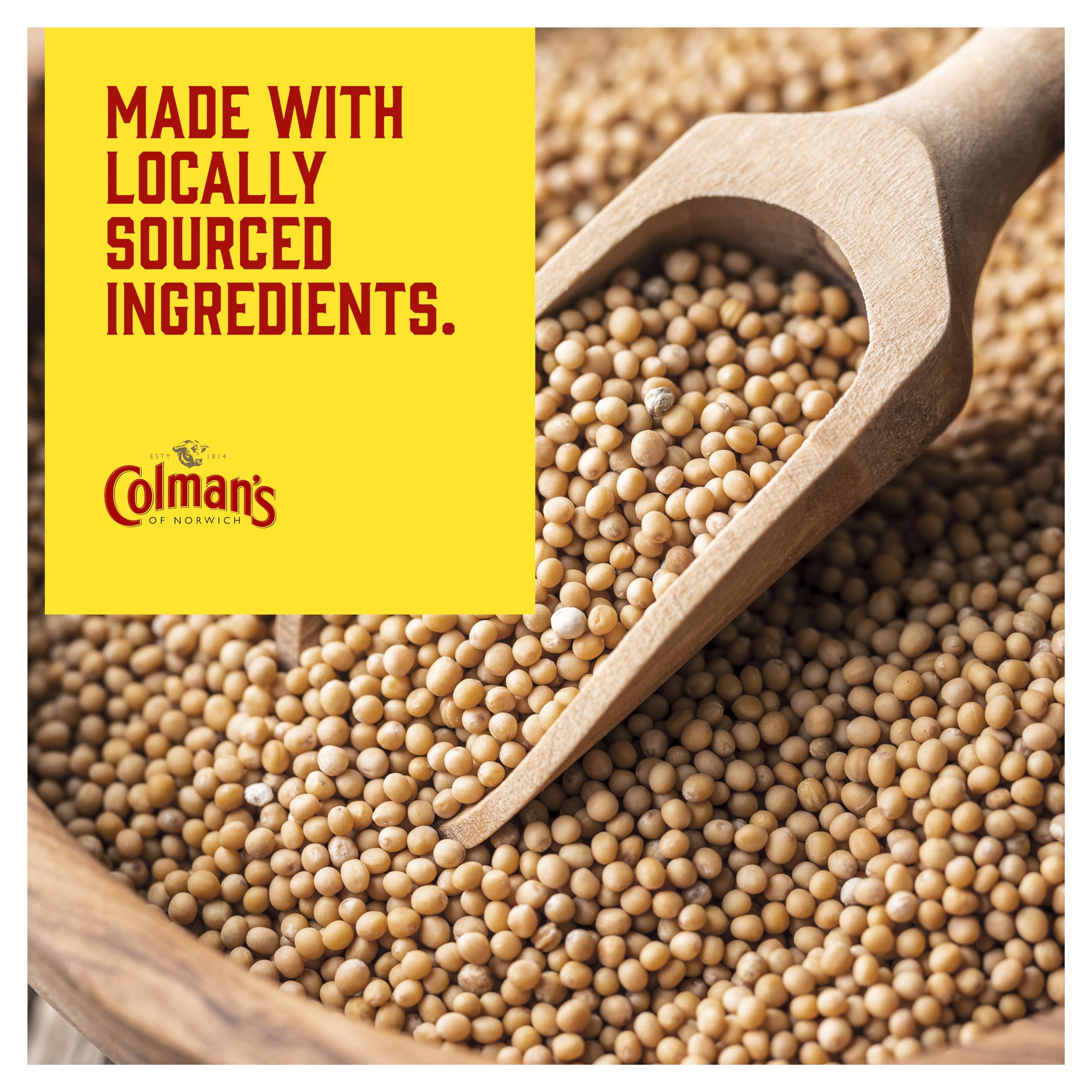 Colman's Original English Mustard, 100g