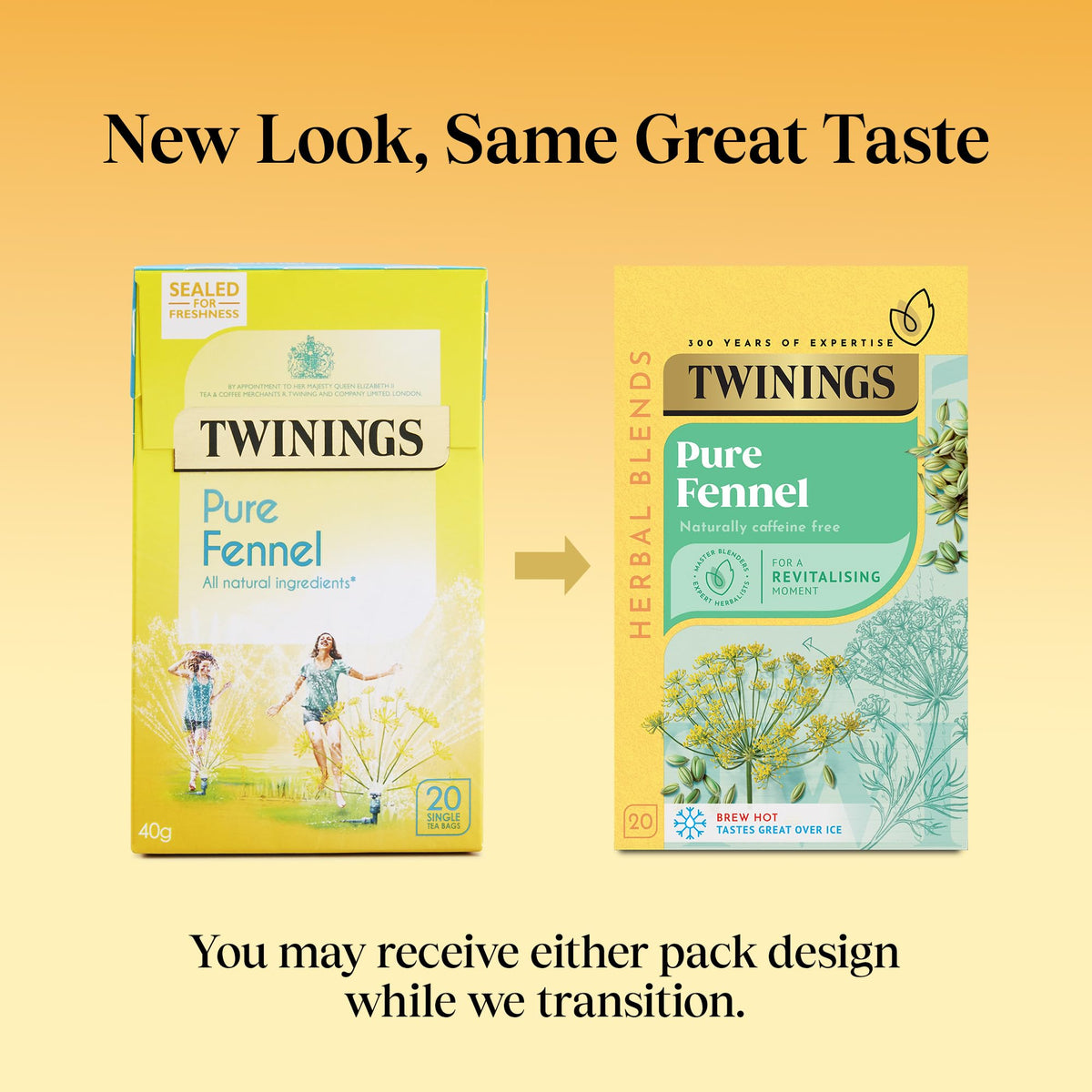 Twinings Pure Fennel Herbal Tea - Supports Digestion | 20 Tea Bags | 40g
