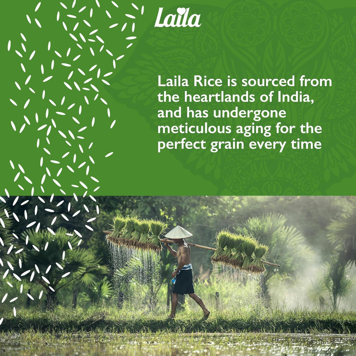 Laila Pure Basmati Rice - 1kg Bag | Long Grain | Gluten-Free 3