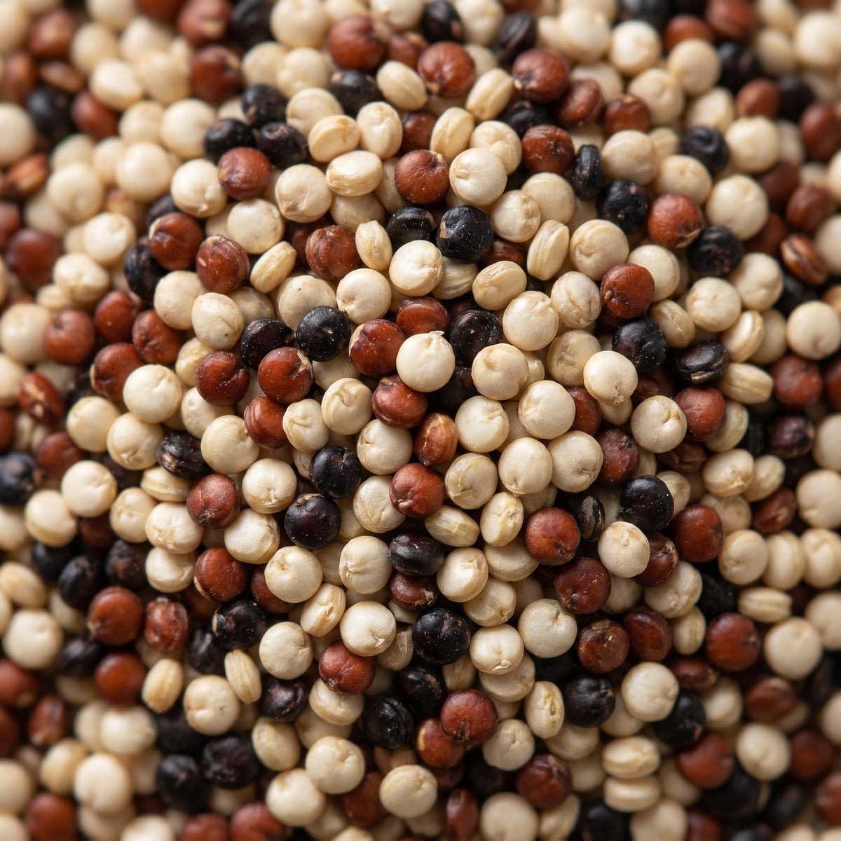 Wholefood Earth Organic Tricolour Quinoa - 1 kg 5