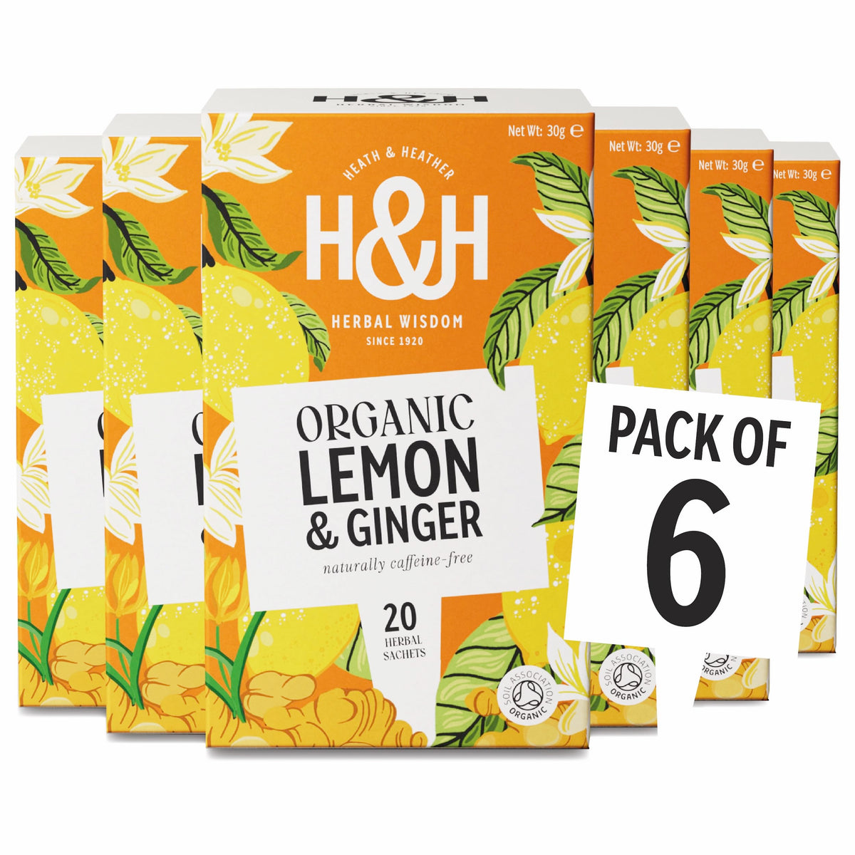 Heath & Heather Organic Lemon & Ginger Herbal Tea - Digestive & Immune Support | 120 Tea Bags | Caffeine-Free
