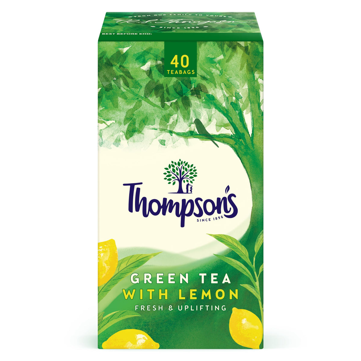 Thompson's Green Tea with Lemon Tea Bags - 480 Bags | Refreshing Citrus Blend
